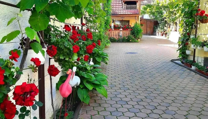 Casa Maria -  De La Vizitatori - Șura Mică
