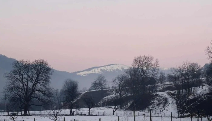 Casa Trifoi -  Adresă - Râu Sadului