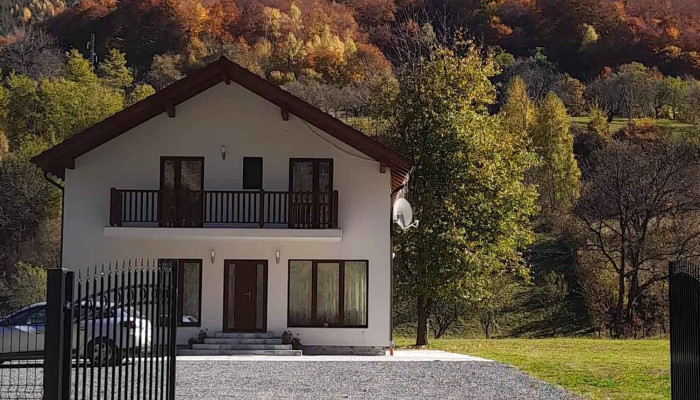 Casa Trifoi -  De La Vizitatori - Râu Sadului
