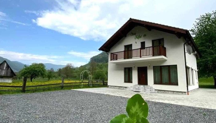 Casa Trifoi -  Exterior - Râu Sadului
