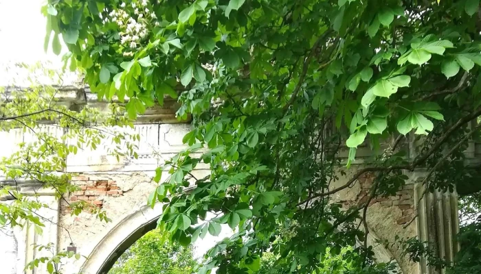 Castel Haller -  Reduceri - Comuna Gârbou