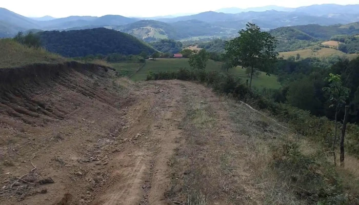 Casuta Bunicilor Isverna Exterior - Isverna