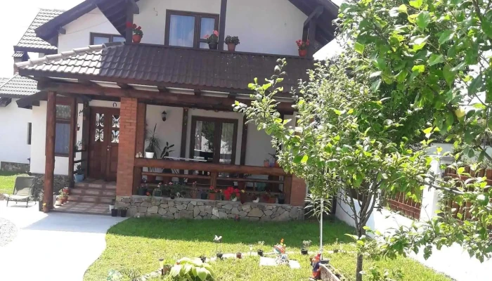 Casuta De La Tara De La Vizitatori - Cărpiniş