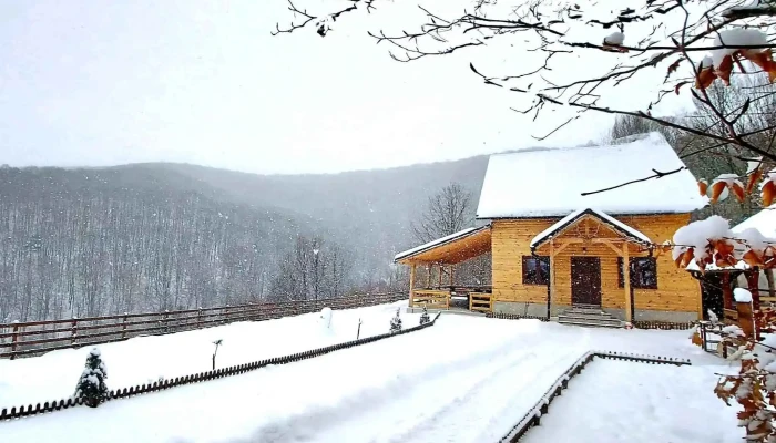 Casuta Din Padure De La Proprietar - Valea Mare