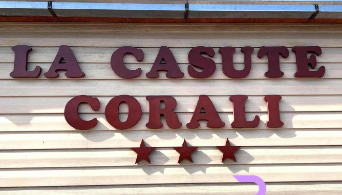 Casute Corali De La Proprietar - Corbu