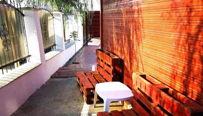 Casute Corali Fotografii - Corbu