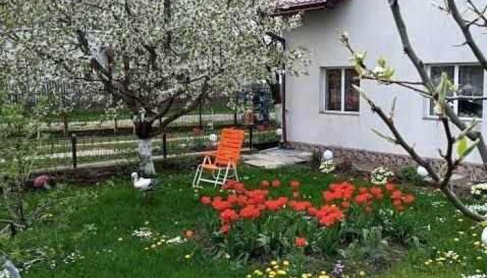 Cazare Căsuța Bunicilor - Dorna Candrenilor