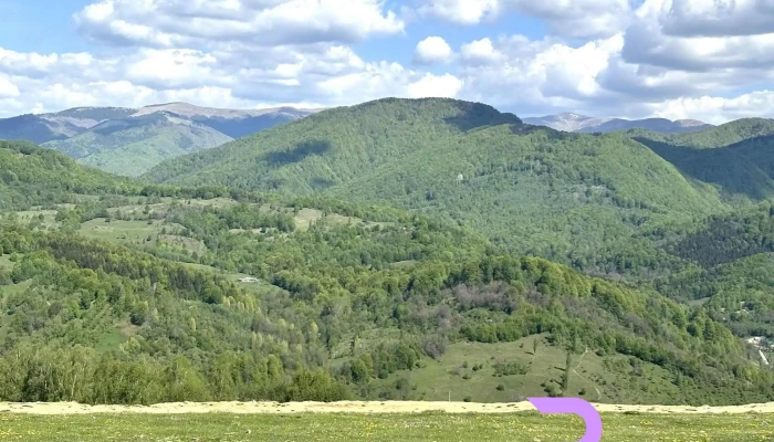 Centrul De Echitatie Potcoava Cele Mai Recente - Runcu