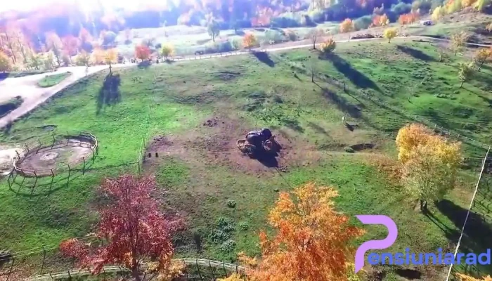 Centrul De Echitatie Potcoava De La Proprietar - Runcu