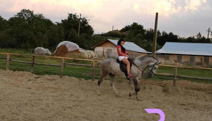 Centrul Hipic Epona Horse Land -  Cal - Bobiceşti