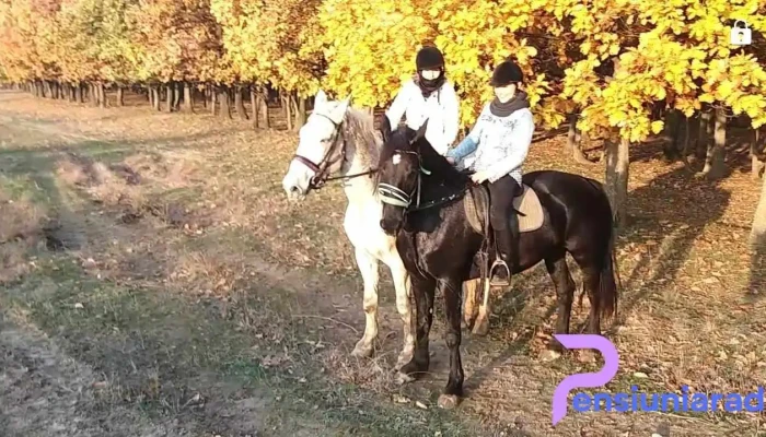 Centrul Hipic Epona Horse Land -  De La Proprietar - Bobiceşti