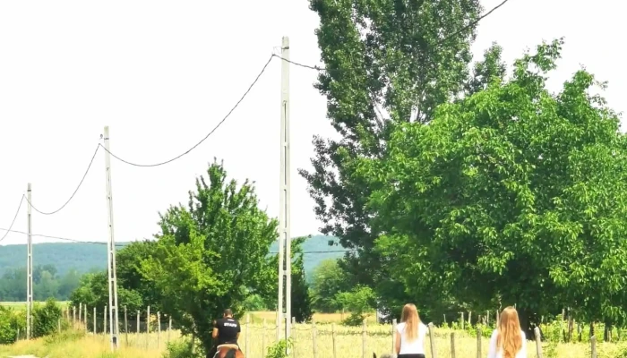 Centrul Hipic Epona Horse Land -  Instagram - Bobiceşti