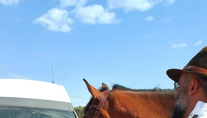 Centrul Hipic Epona Horse Land -  Număr - Bobiceşti