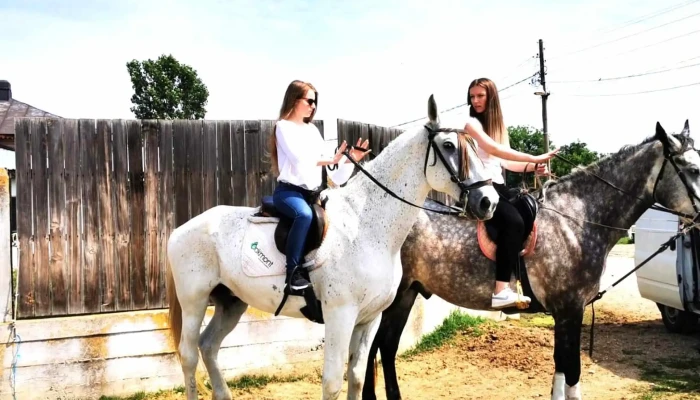 Centrul Hipic Epona Horse Land -  Promoție - Bobiceşti