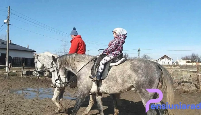 Centrul Hipic Epona Horse Land -  Sa - Bobiceşti