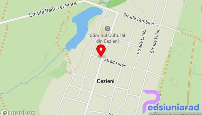 Cezieni -  Hartă - Cezieni