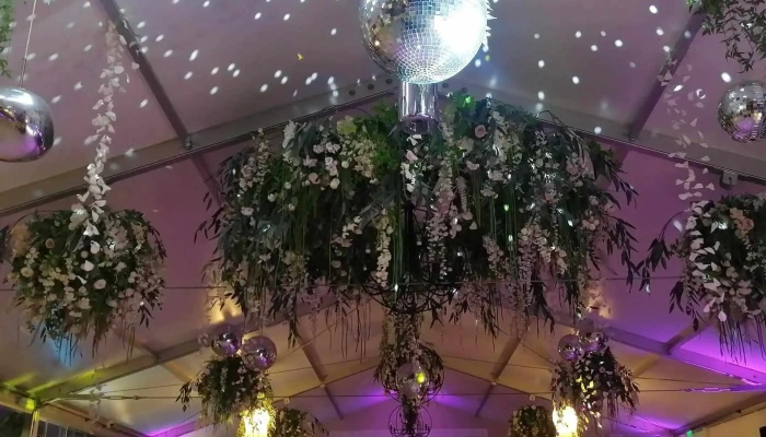 Chateau Blanc Restaurant Evenimente -  Scor - Slatina