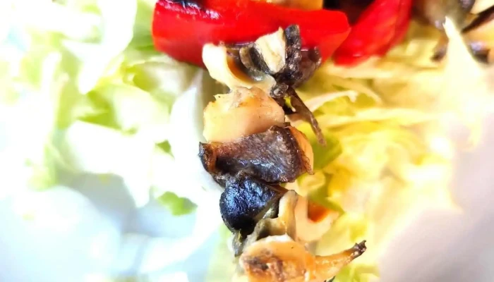 Cherhana Puius Restaurant Frigare - Mangalia
