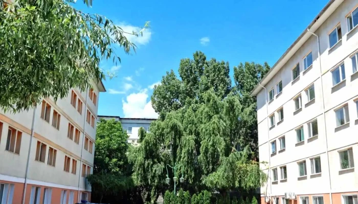 Codrea Company - Turnu Măgurele 145200