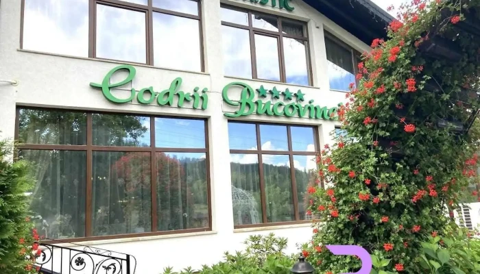 Codrii Bucovinei - Frasin