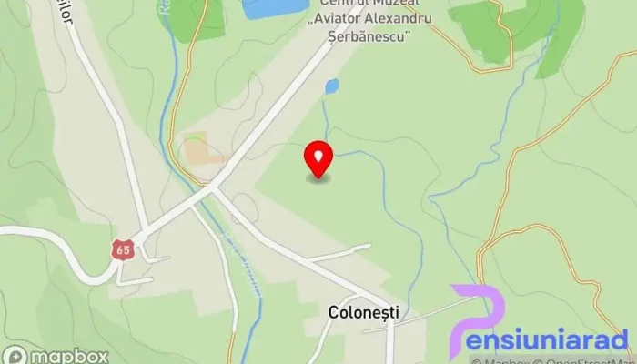 Colonesti Hartă - Coloneşti