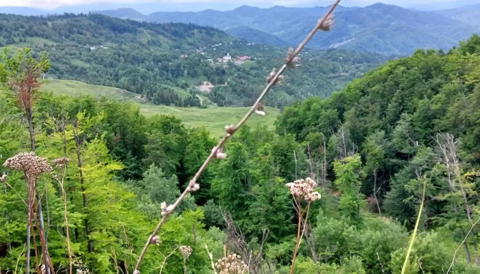 Comuna Andreiasu De Jos Reduceri - Romania
