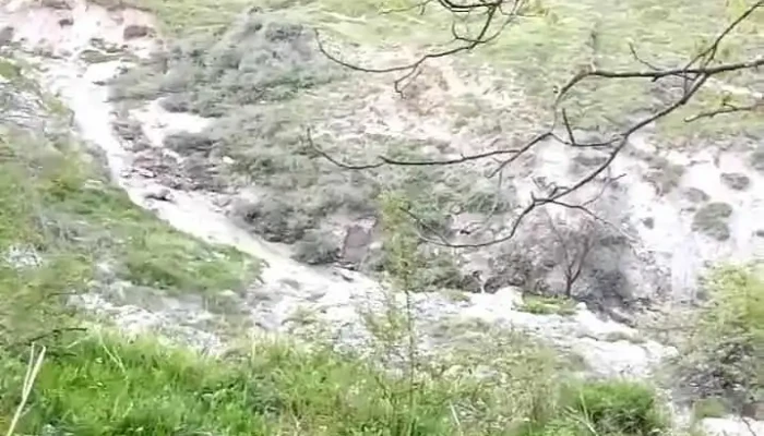 Comuna Andreiasu De Jos Videoclipuri - Romania