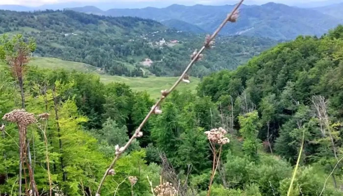 Comuna Andreiașu de Jos - Romania