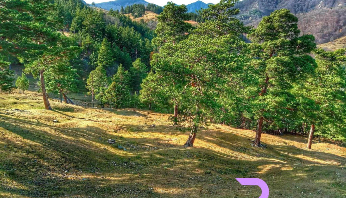 Comuna Bisoca -  Adresă - Romania