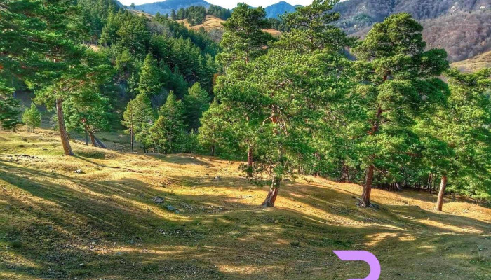 Comuna Bisoca - Romania