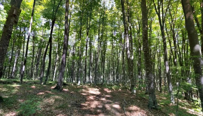 Comuna Dobarlau Street View Si 360deg - Romania