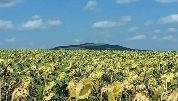 Comuna Grumăzești - Romania
