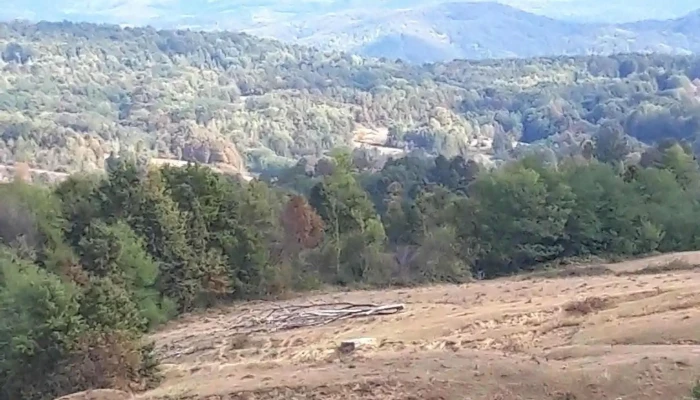 Comuna Halmagiu Prețuri - Romania