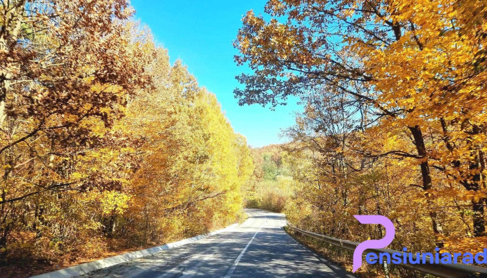 Comuna Hulubesti Unde - Romania