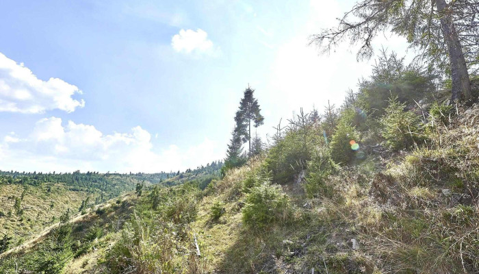 Comuna Maguri Racatau Street View Si 360deg - Romania