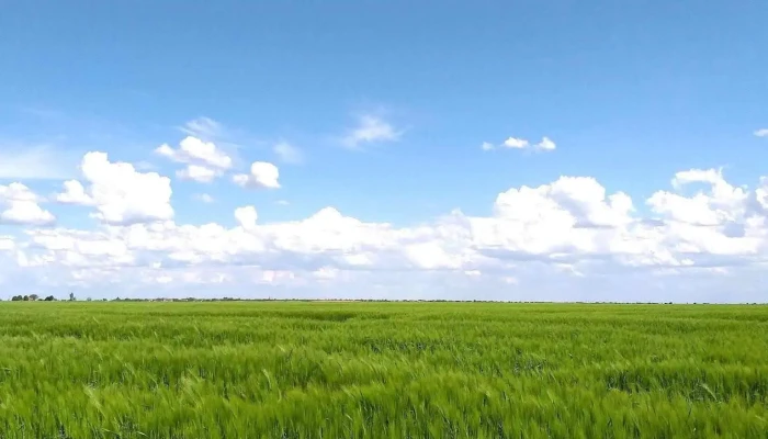 Comuna Milcovul -  Adresă - Romania
