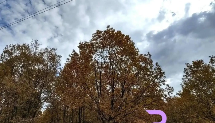 Comuna Murgași - Romania