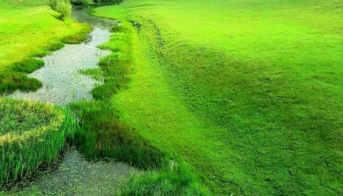 Comuna Racovita Reduceri - Romania