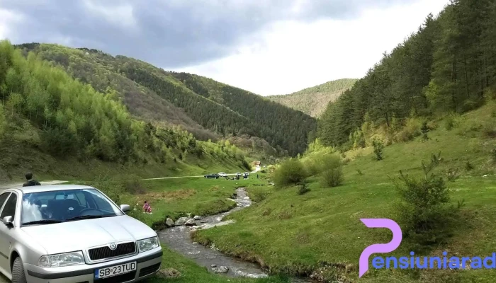 Comuna Rasinari Videoclipuri - Romania