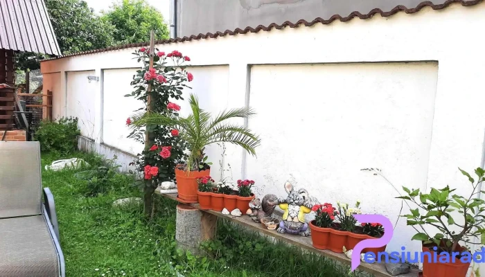 Comuna Tomsani Prețuri - Romania