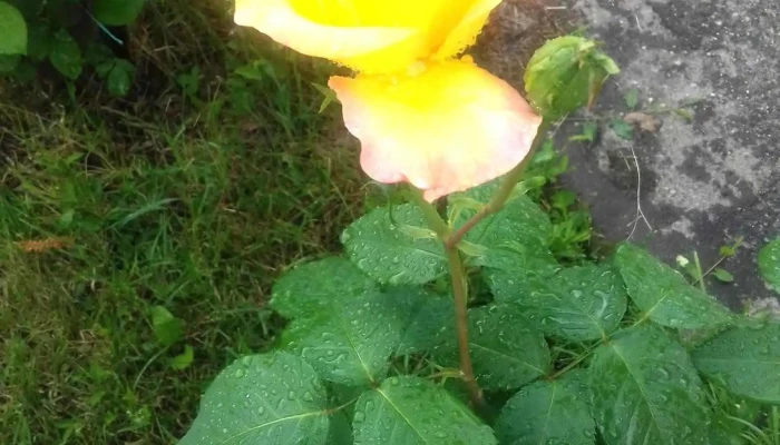 Comuna Tufeni -  Instagram - Romania