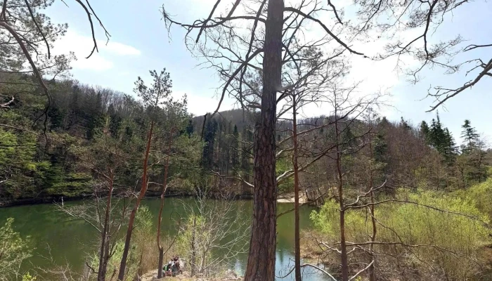Comuna Valiug Street View Si 360deg - Romania