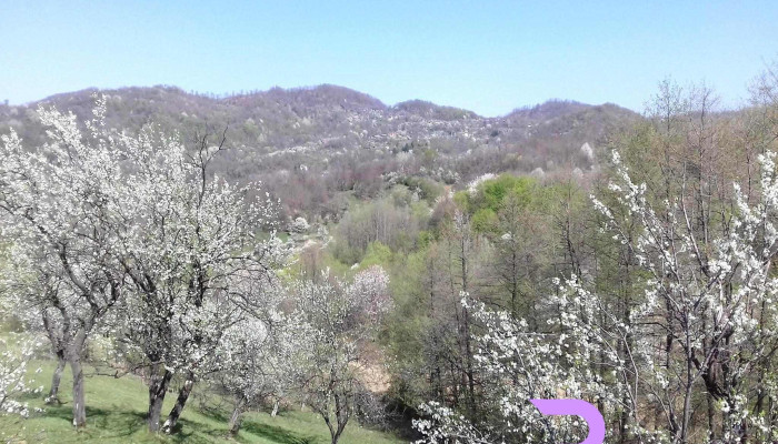 Comuna Varfuri Număr - Romania