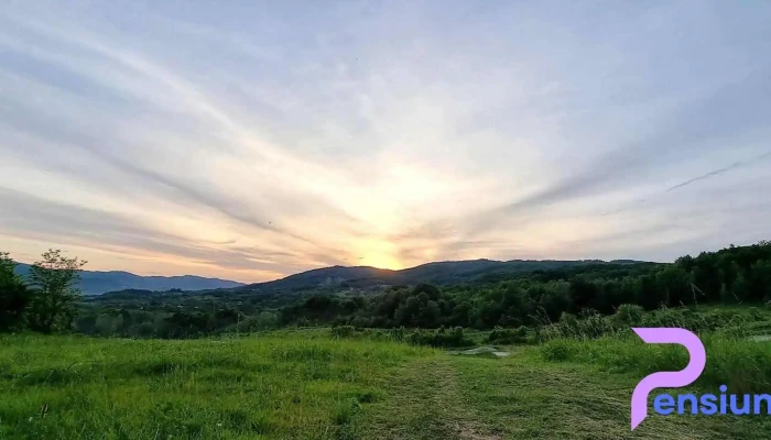 Comuna Vladesti Scor - Romania