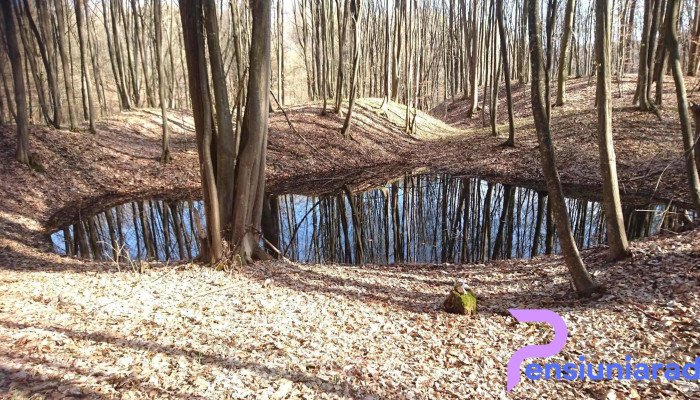 Comuna Vulcana Pandele Reduceri - Romania