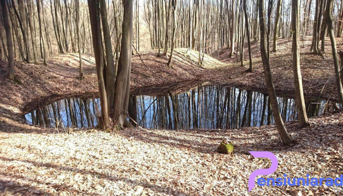 Comună Vulcana-pandele - Romania