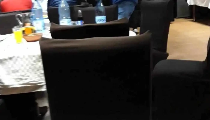 Conacul Domnitei -  De La Vizitatori - Dăești