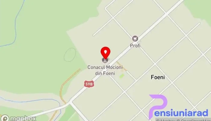 Conacul Familiei Mocioni -  Hartă - Foeni