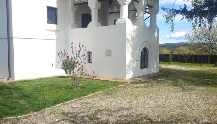 Conacul Otetelisanu De La Proprietar - Beneşti