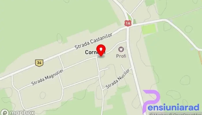 Cornesti -  Hartă - Cornesti
